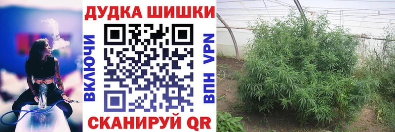 Alpha-PVP Боровичи