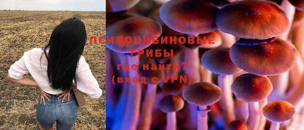 каннабис Беломорск
