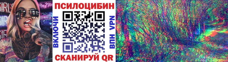 mega ONION Боровичи Псилоцибиновые грибы Psilocybe